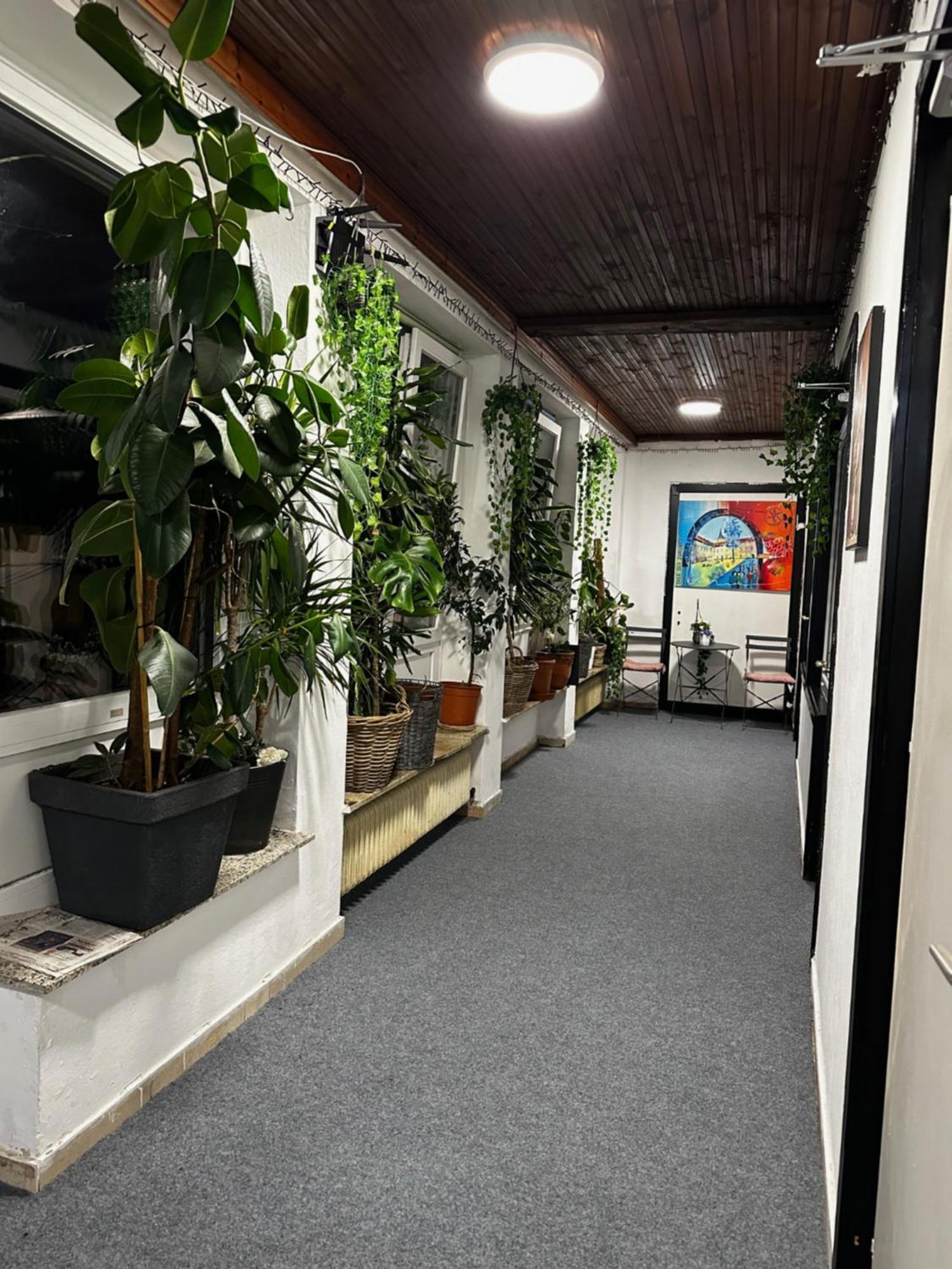 Privatunterkunft Lovely Rooms, Center, Shared Bathroom, Windows To Corridor *